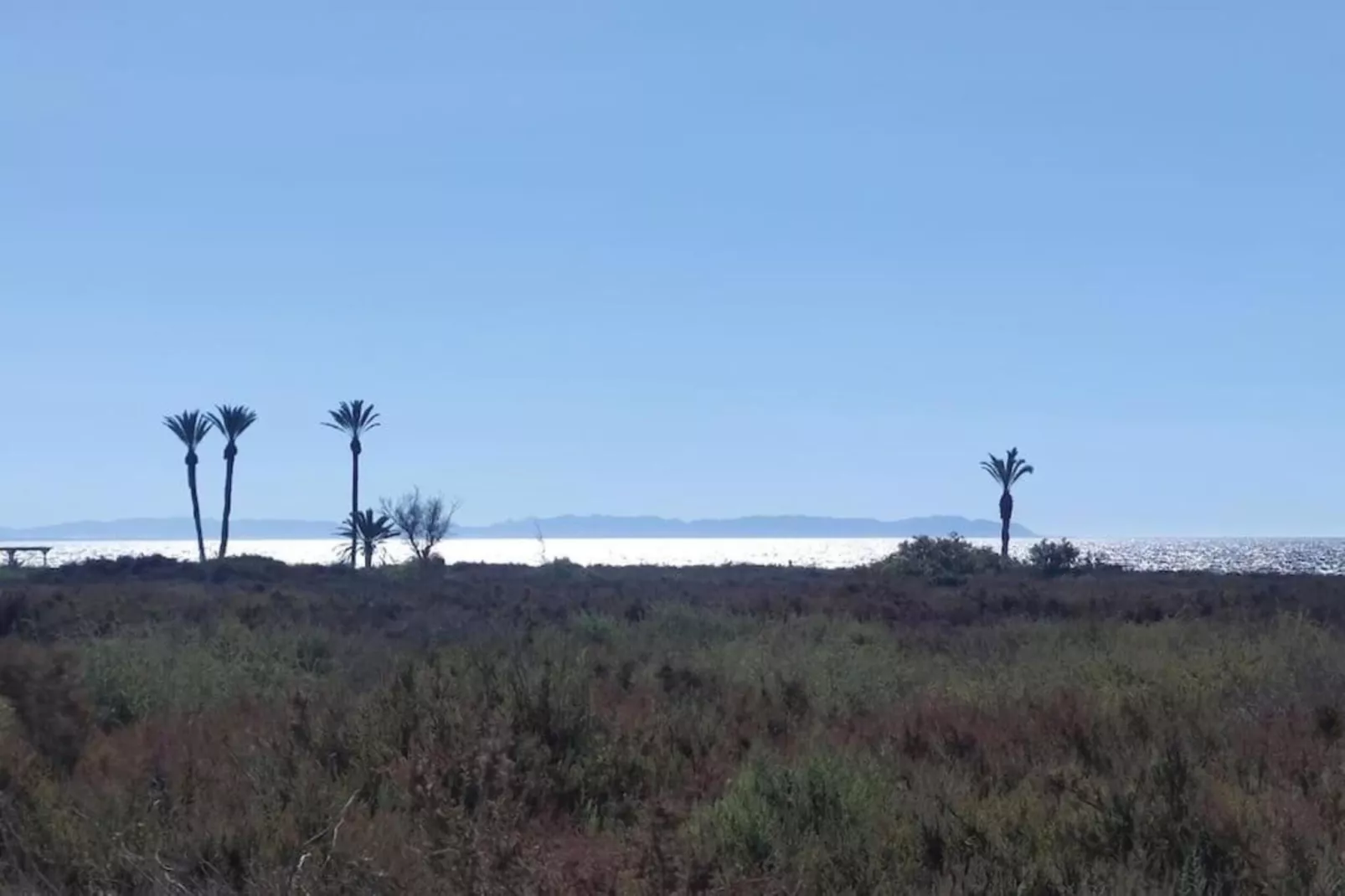 Moguima 2d-Areas within 1km in summer