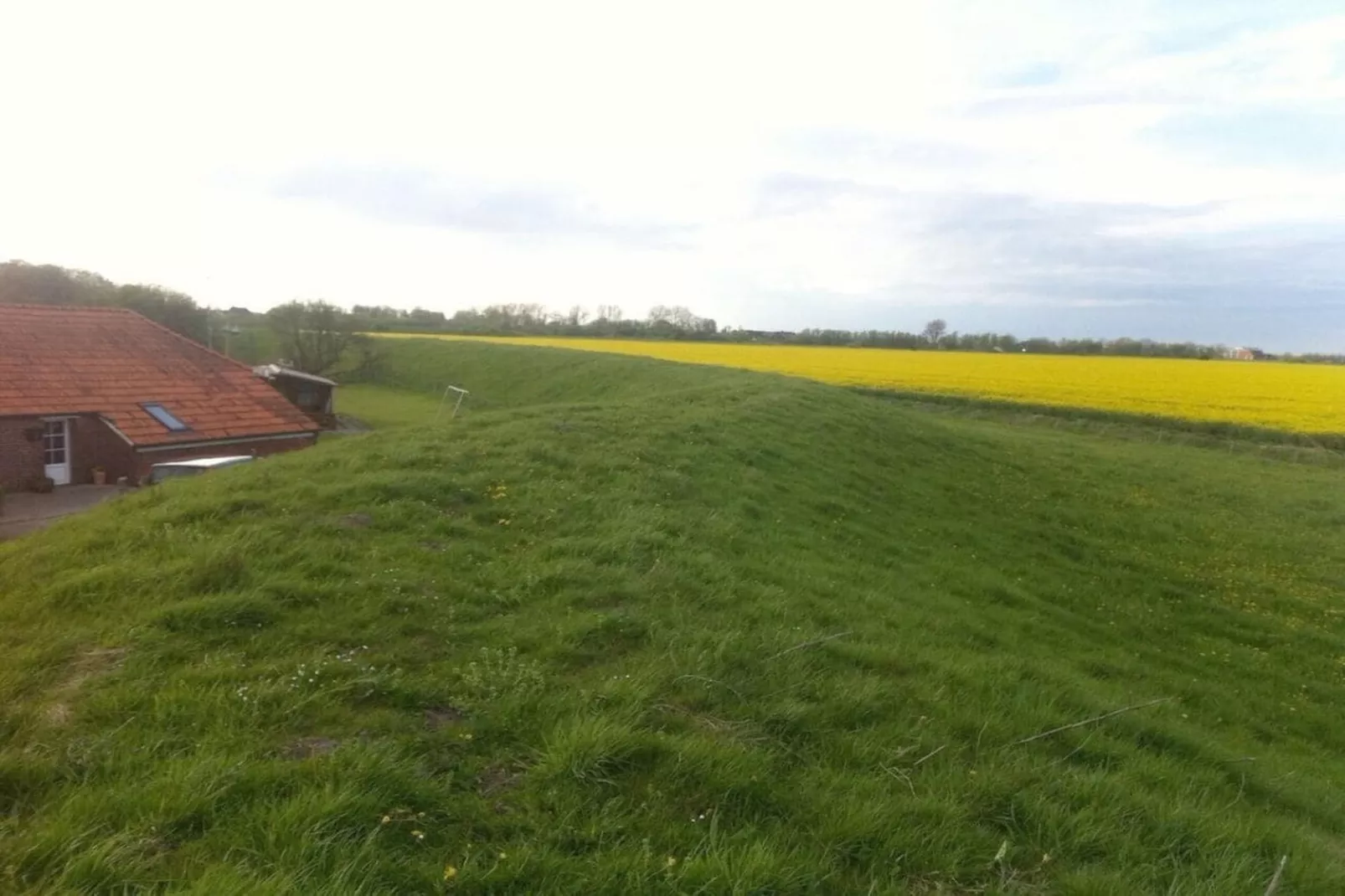 111107-Areas within 1km in summer