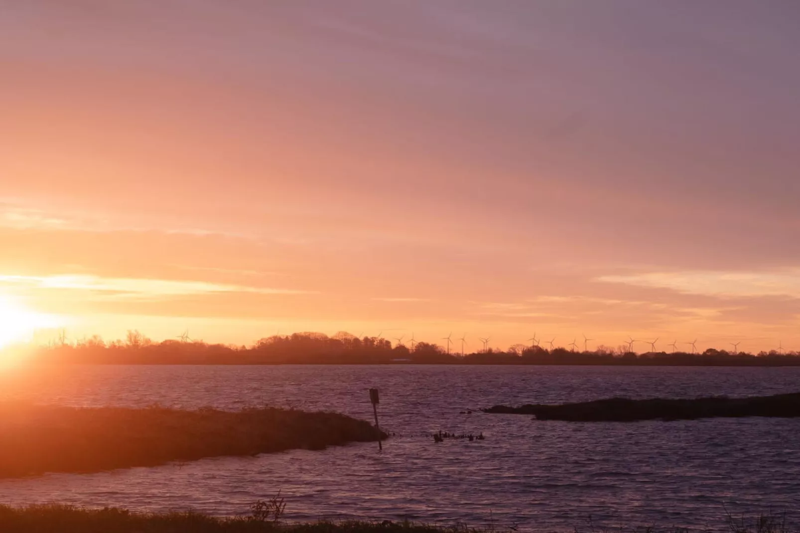 467005-Areas within 5km in summer