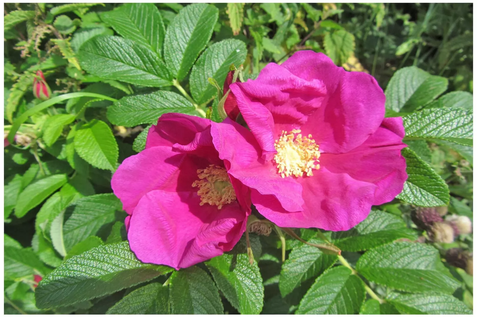 288360-Zones été à 5 km