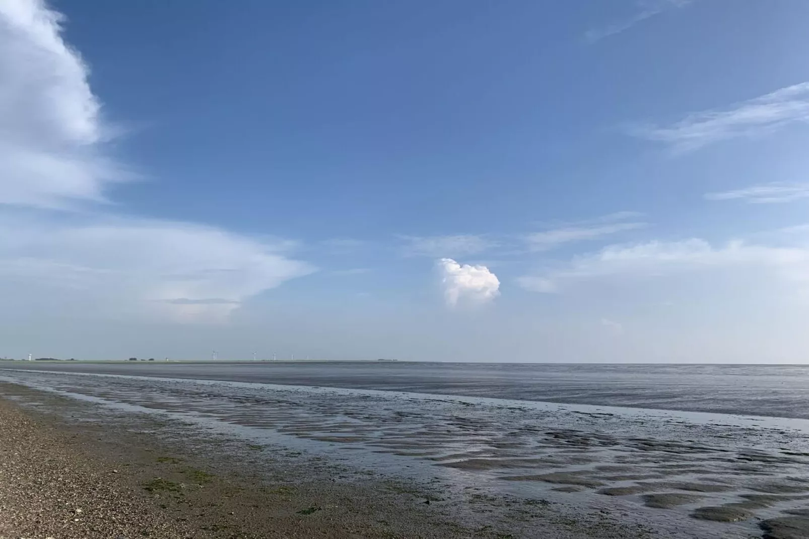 97432-Areas within 5km in summer