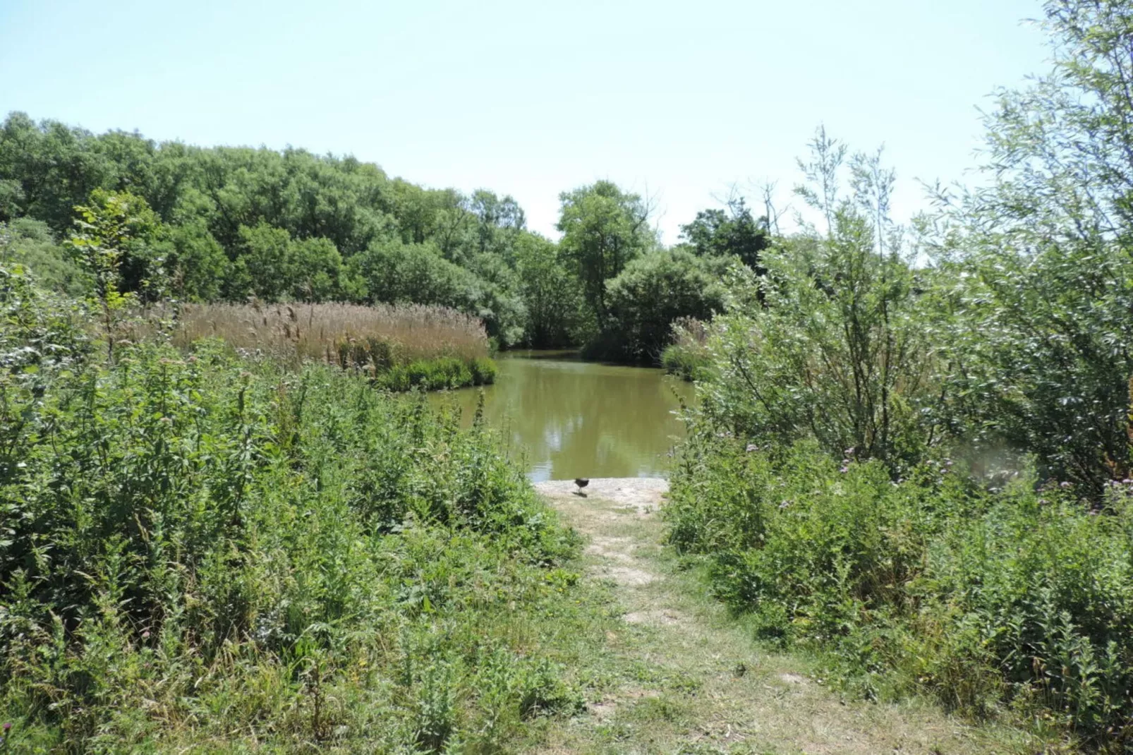 100809-Zones été à 5 km