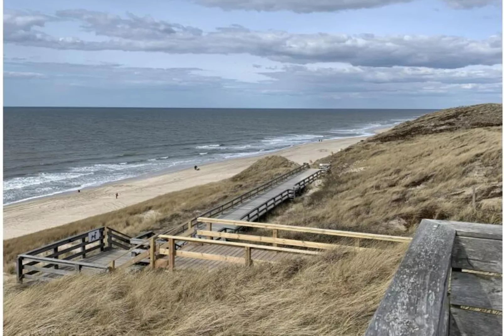 139423-Areas within 5km in summer