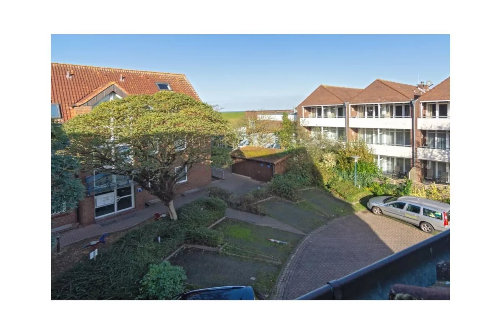 169247-Gardens in summer