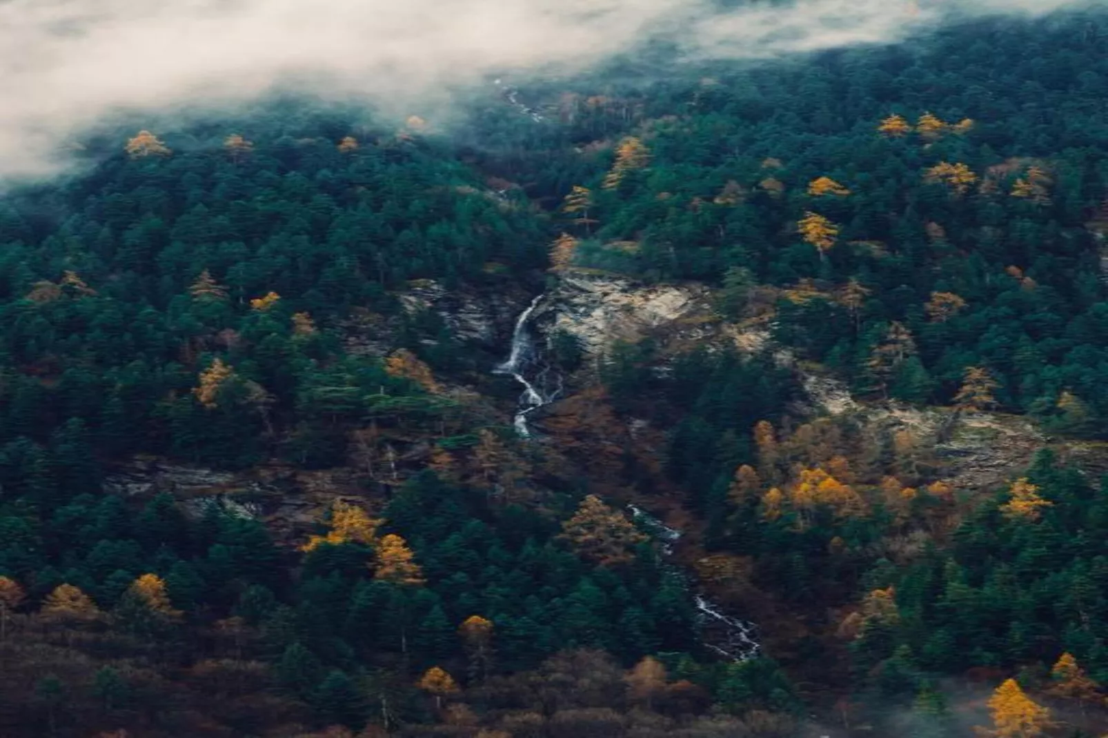 Hameau 5 201a - SPA & PISCINE studio 4 pers.-Zones été à 5 km