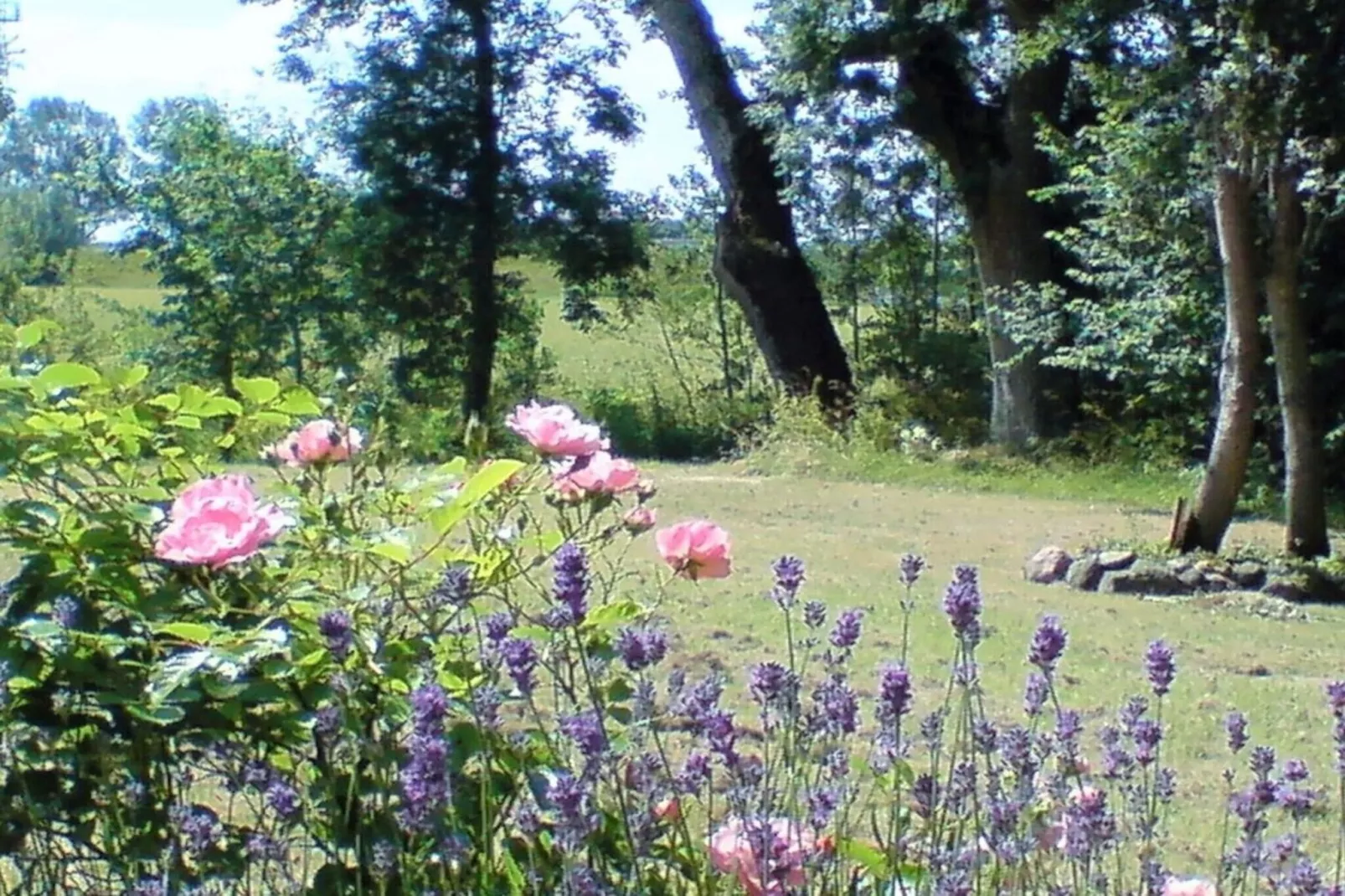 9376-Gardens in summer