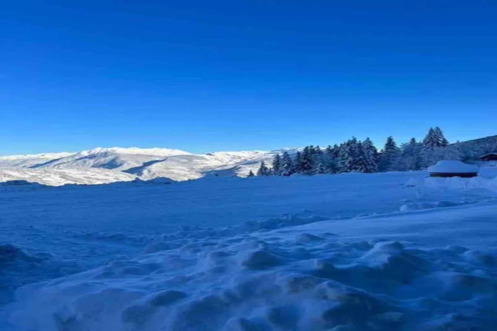 Les Cochettes N°166 - 4P8-Gebiet Winter 20 km