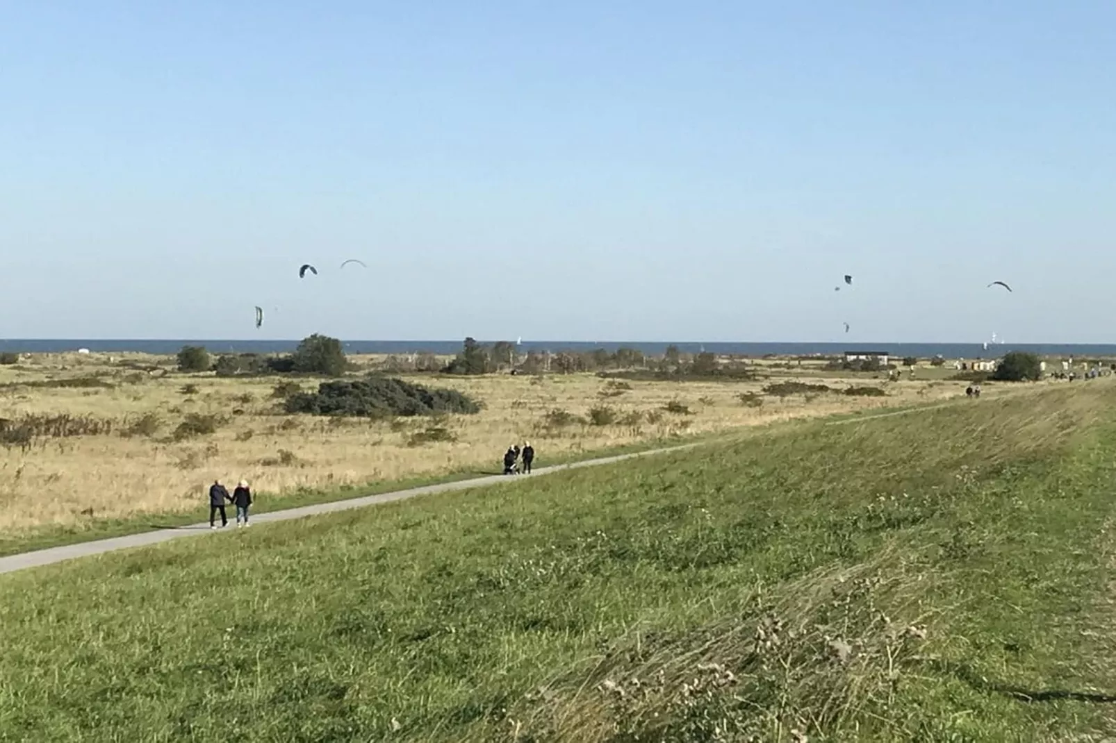 293990-Areas within 5km in summer