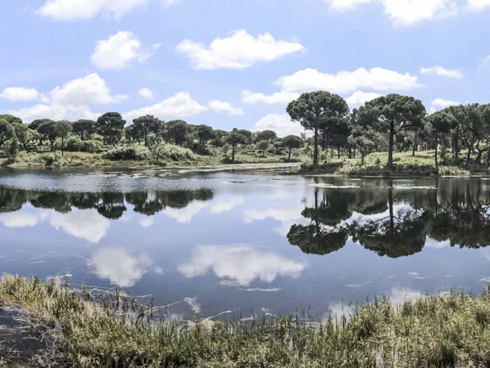 Villa Cegonha - Draußen