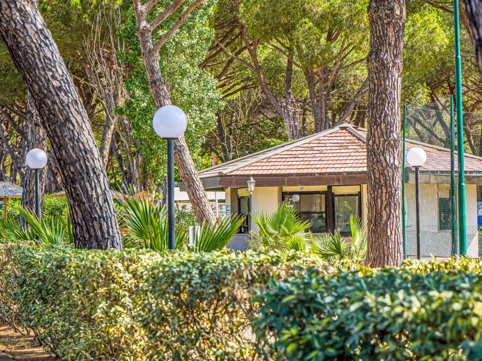 Costa D'Argento-Drinnen