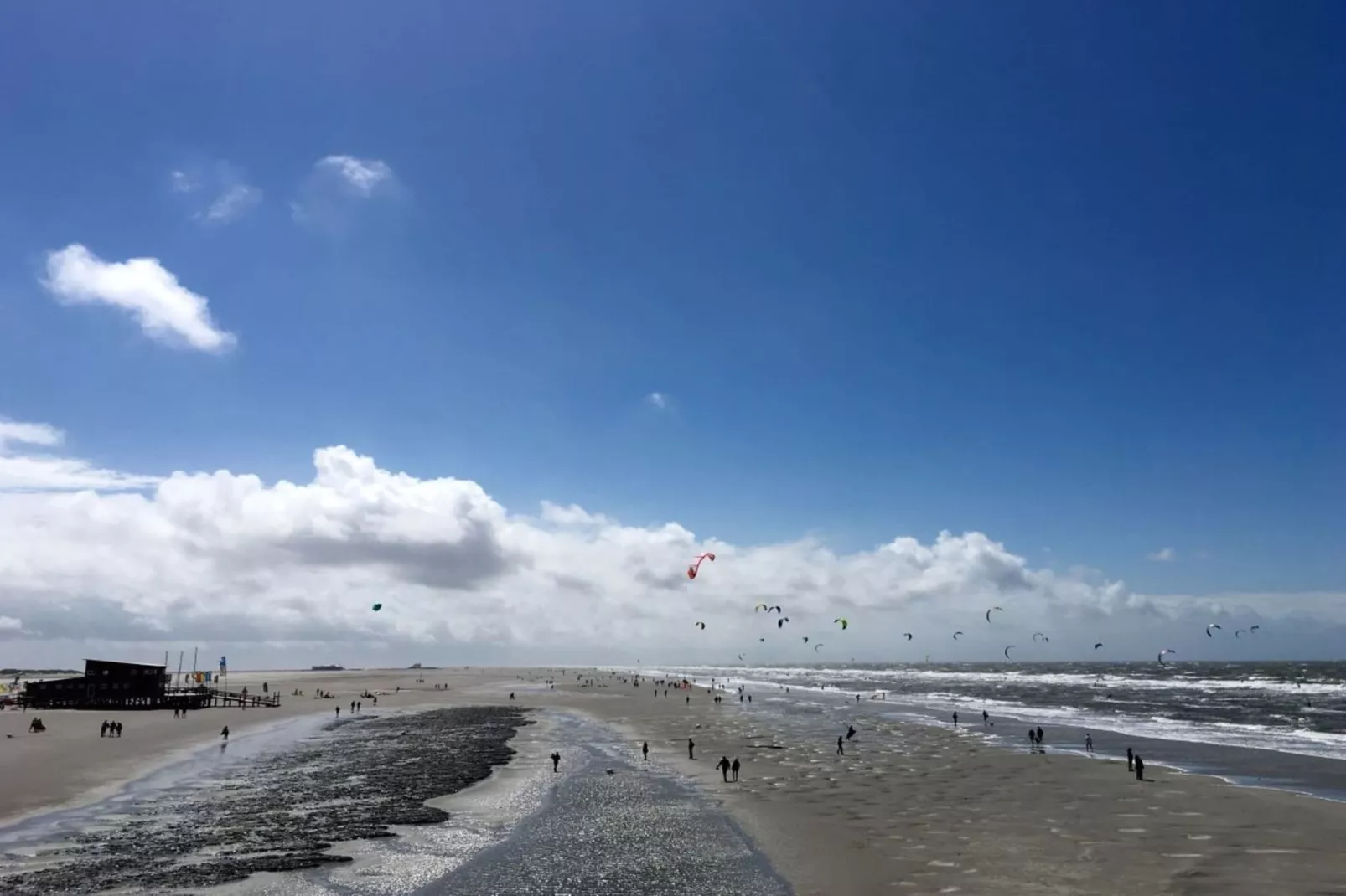 261897-Areas within 5km in summer