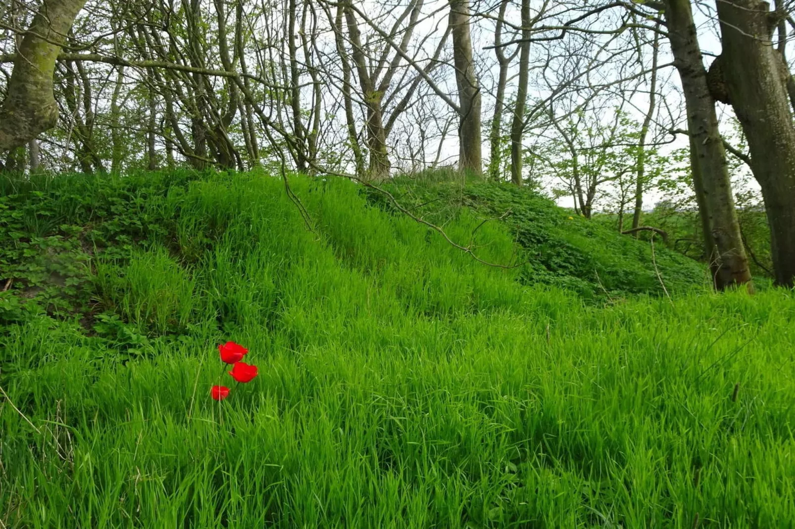 90280 - Zones été à 5 km