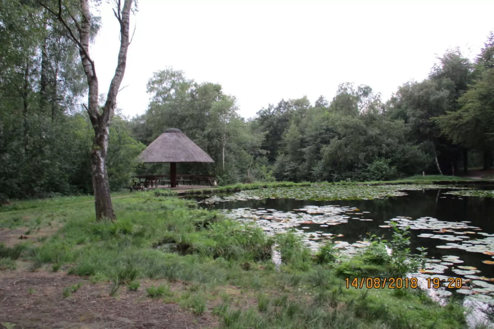 4315-Jardins en été