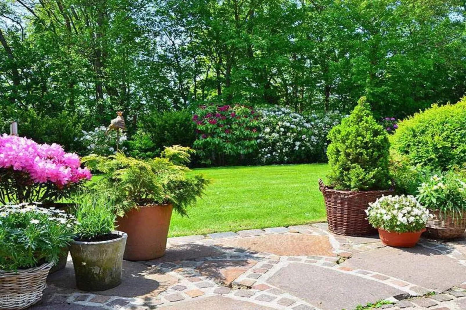 113868-Garten Sommer