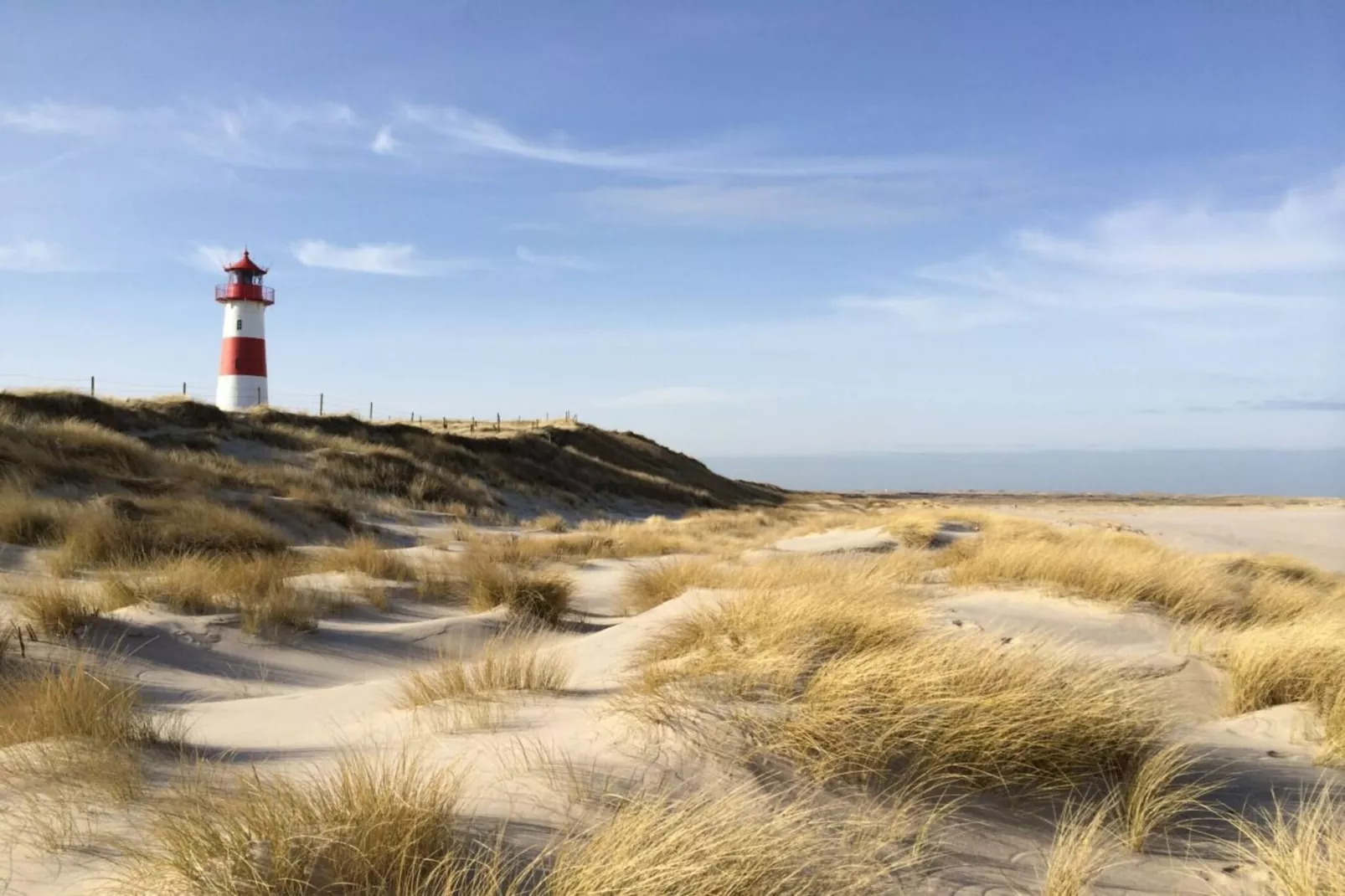 436061-Zones été à 5 km