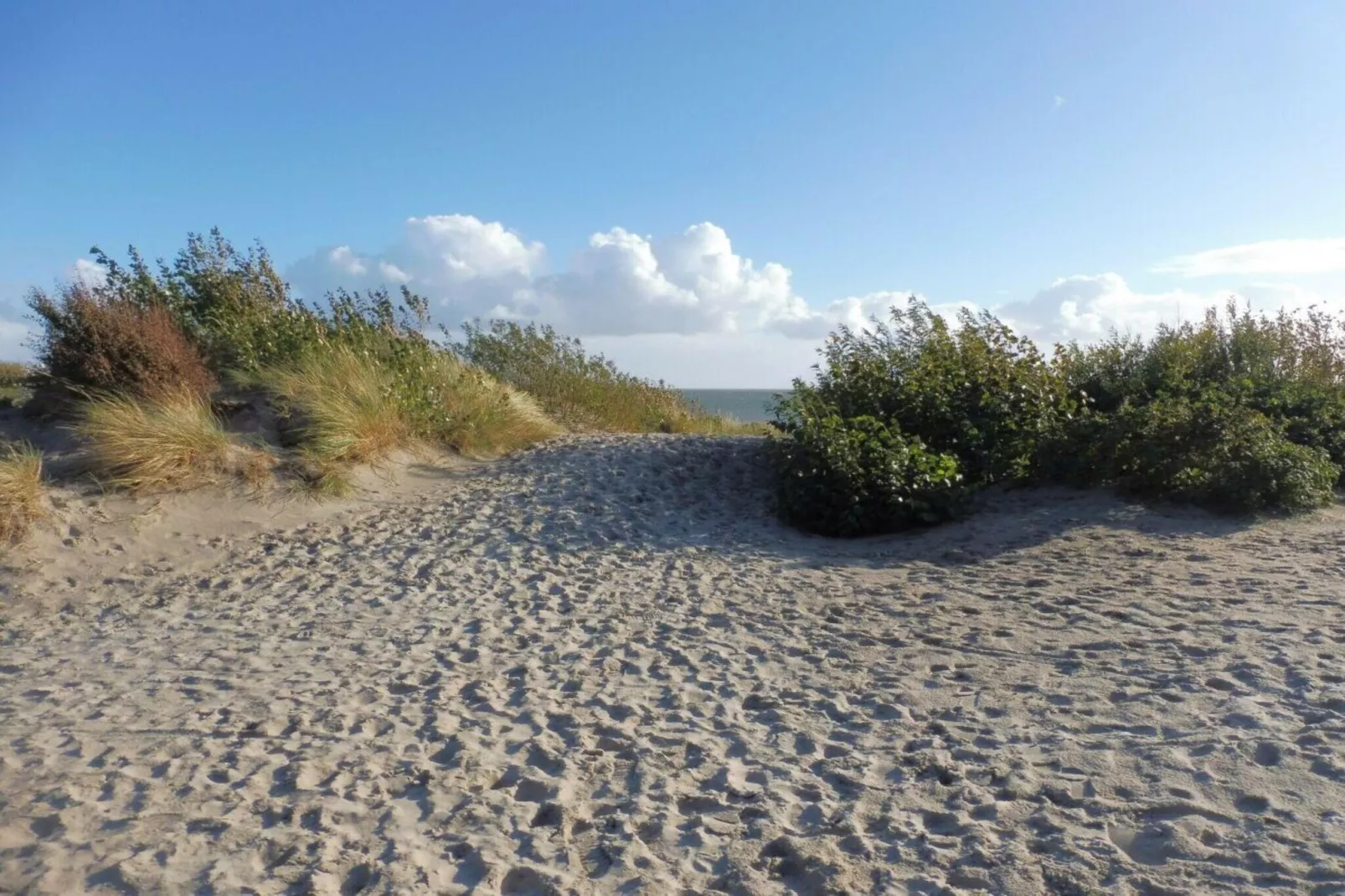 743418-Image-tags.water view