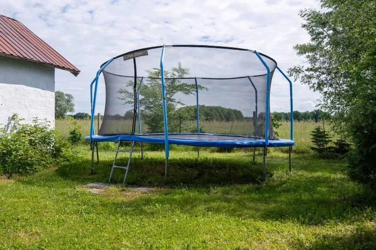 Butterfly-Gardens in summer