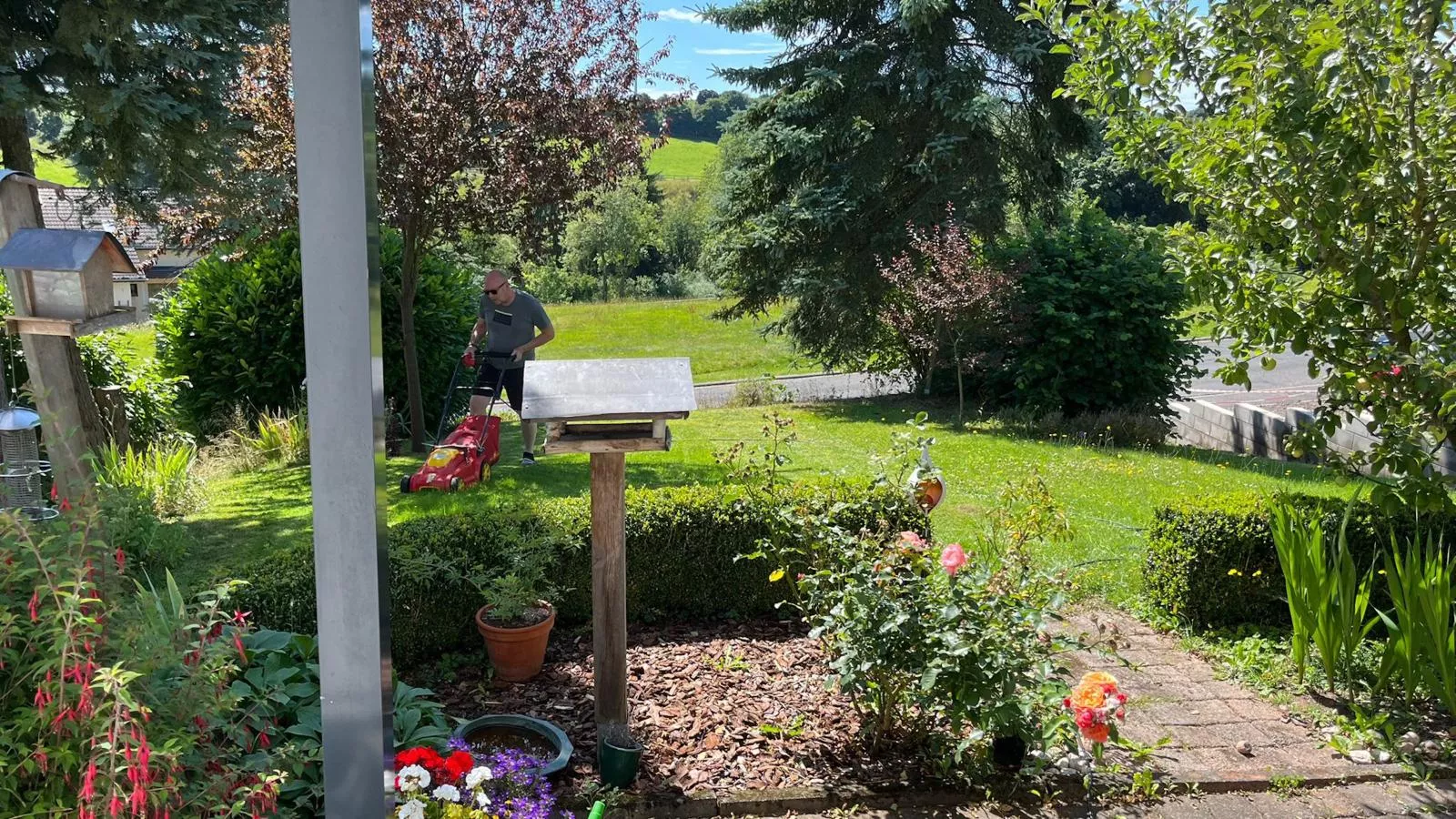 Veronica-Garten Sommer