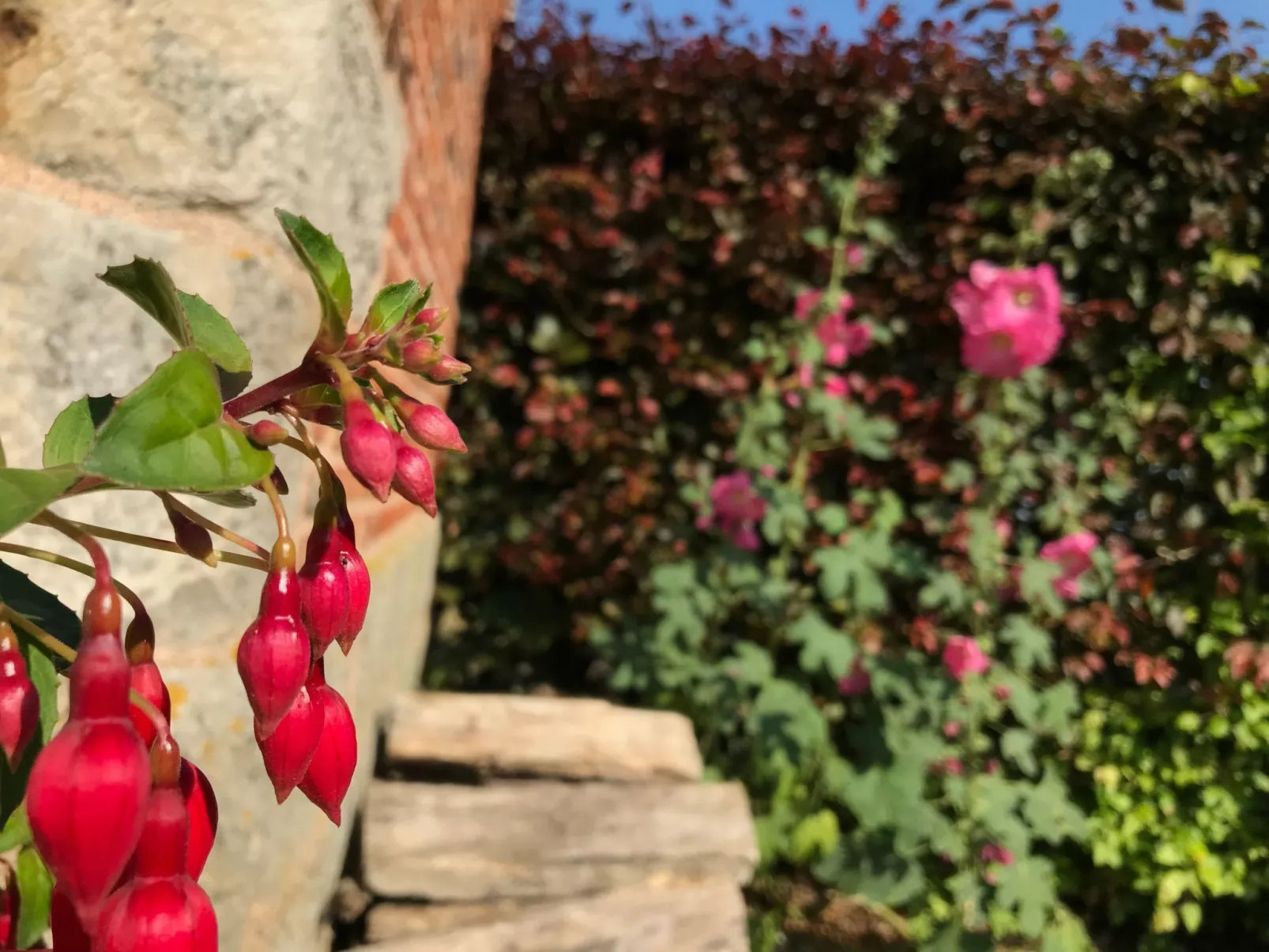 Unterkunft auf dem Bauernhof "La printanière" (Die Frühlingsfrau)-Dehors