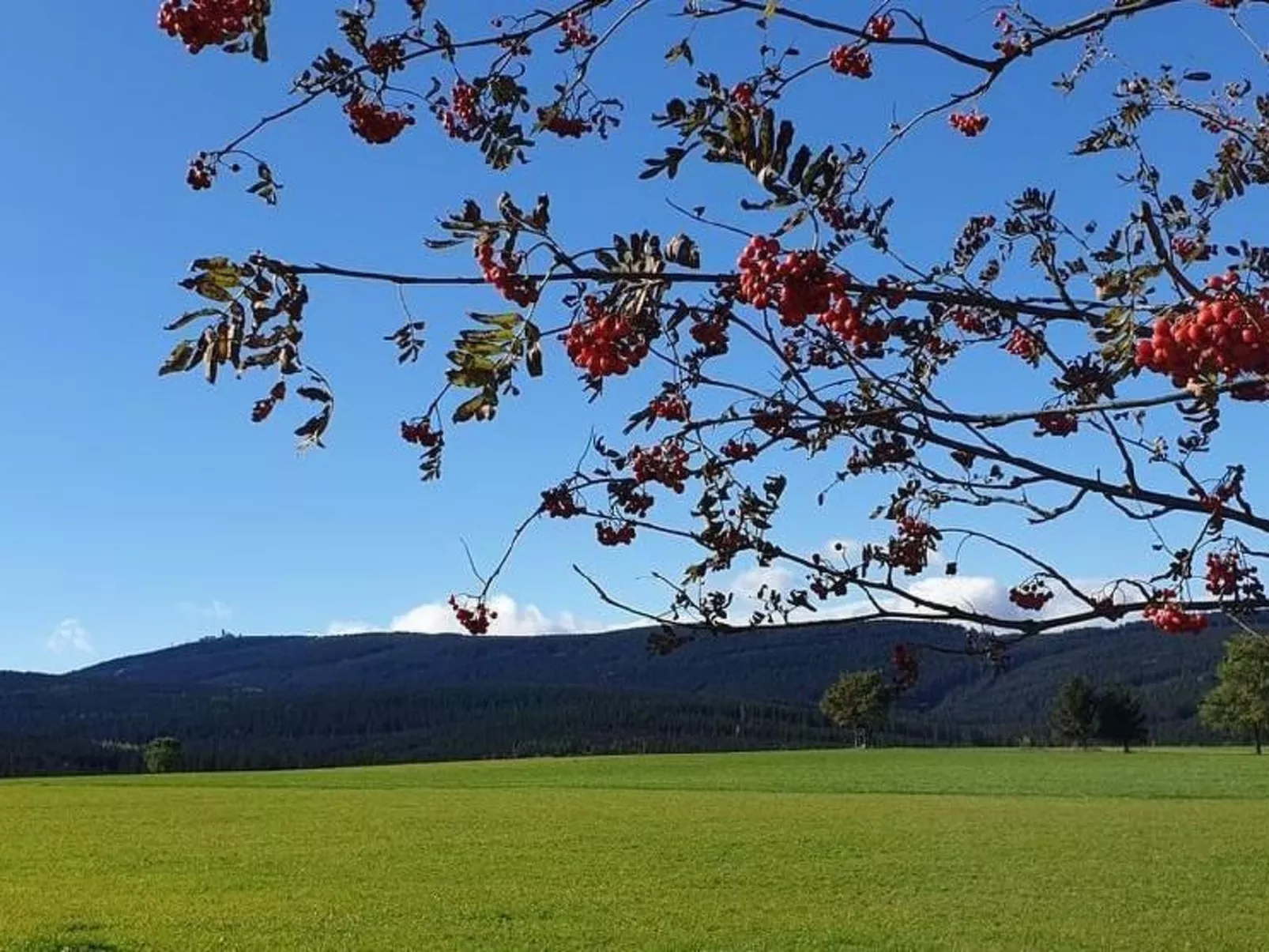 Fewo-Dorfblick-Image-tags.info