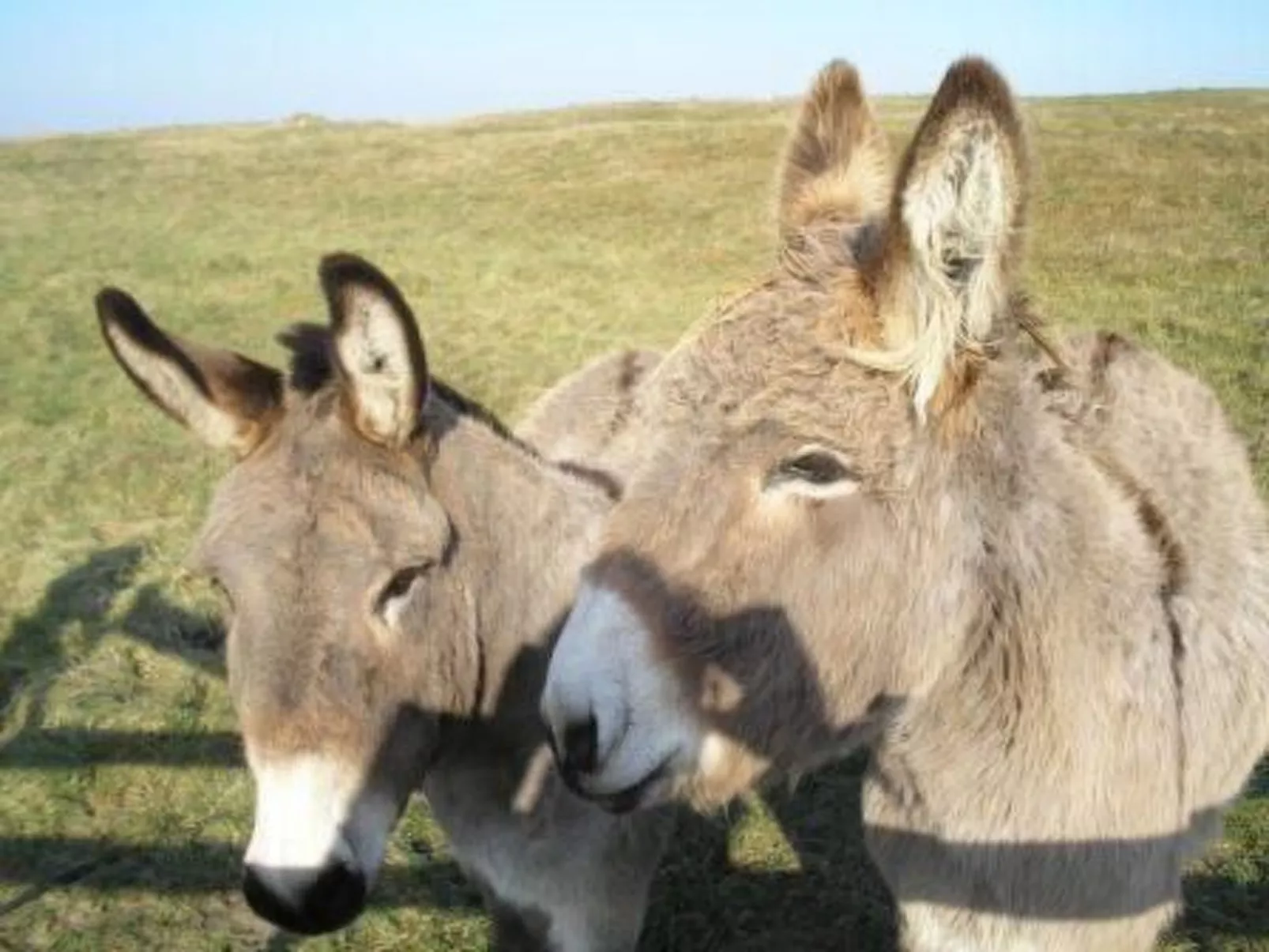 "Garence" mit eigener Terrasse-Outside