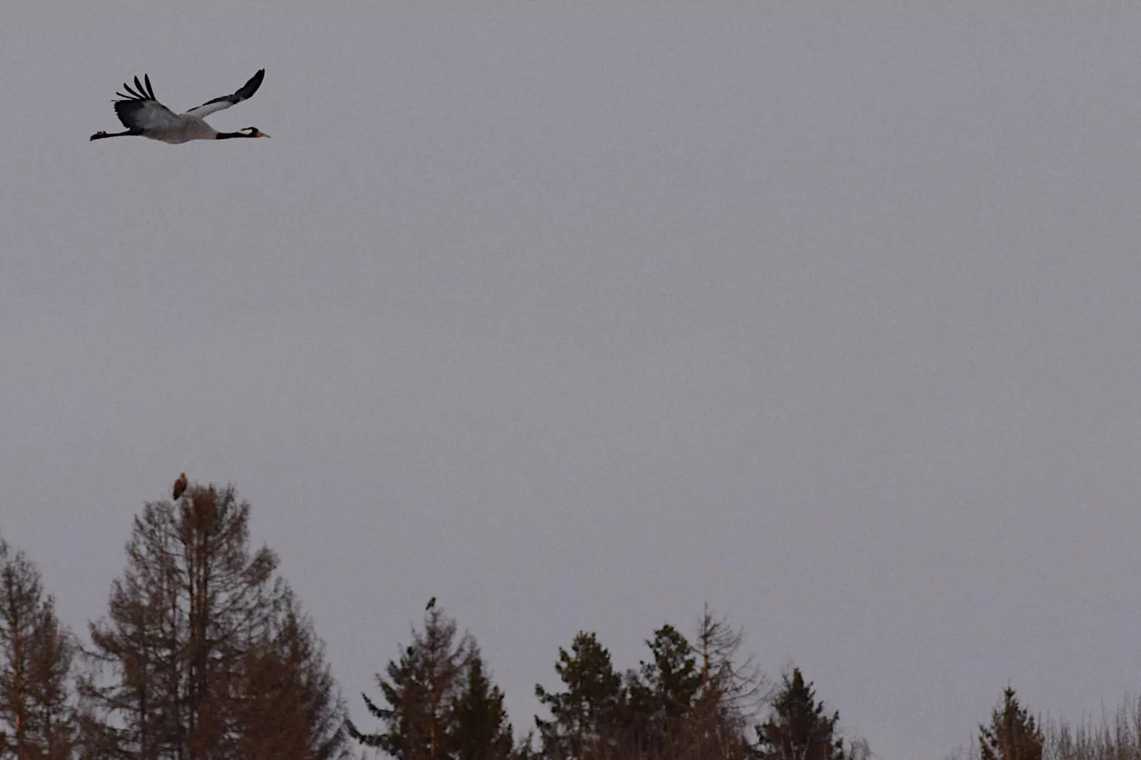 The Farm-Areas within 5km in summer