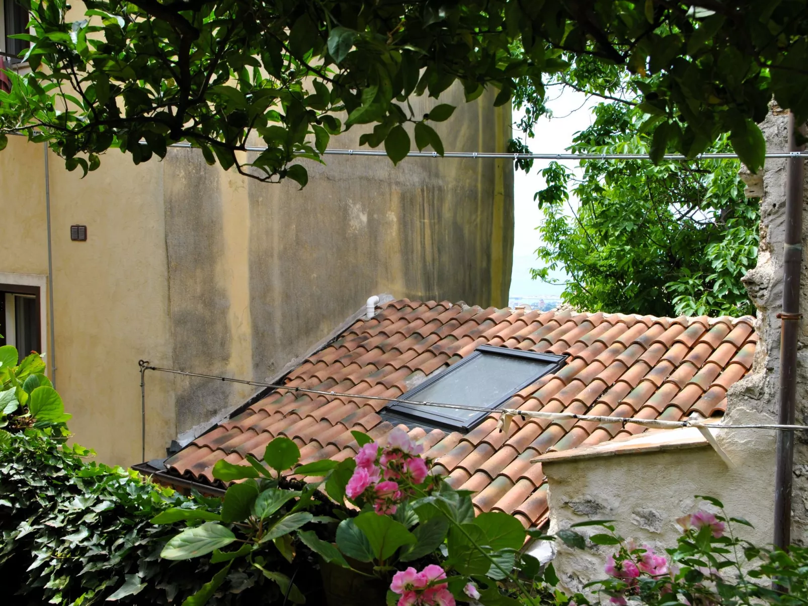 Giardino dei Limoni - Dehors