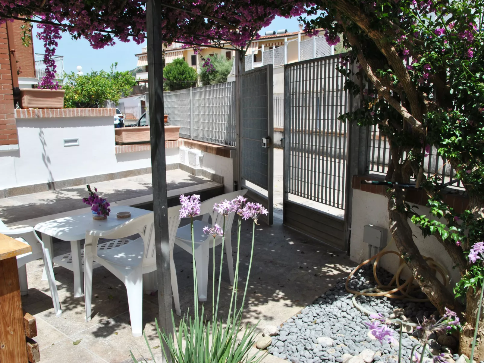 Bouganville - Draußen