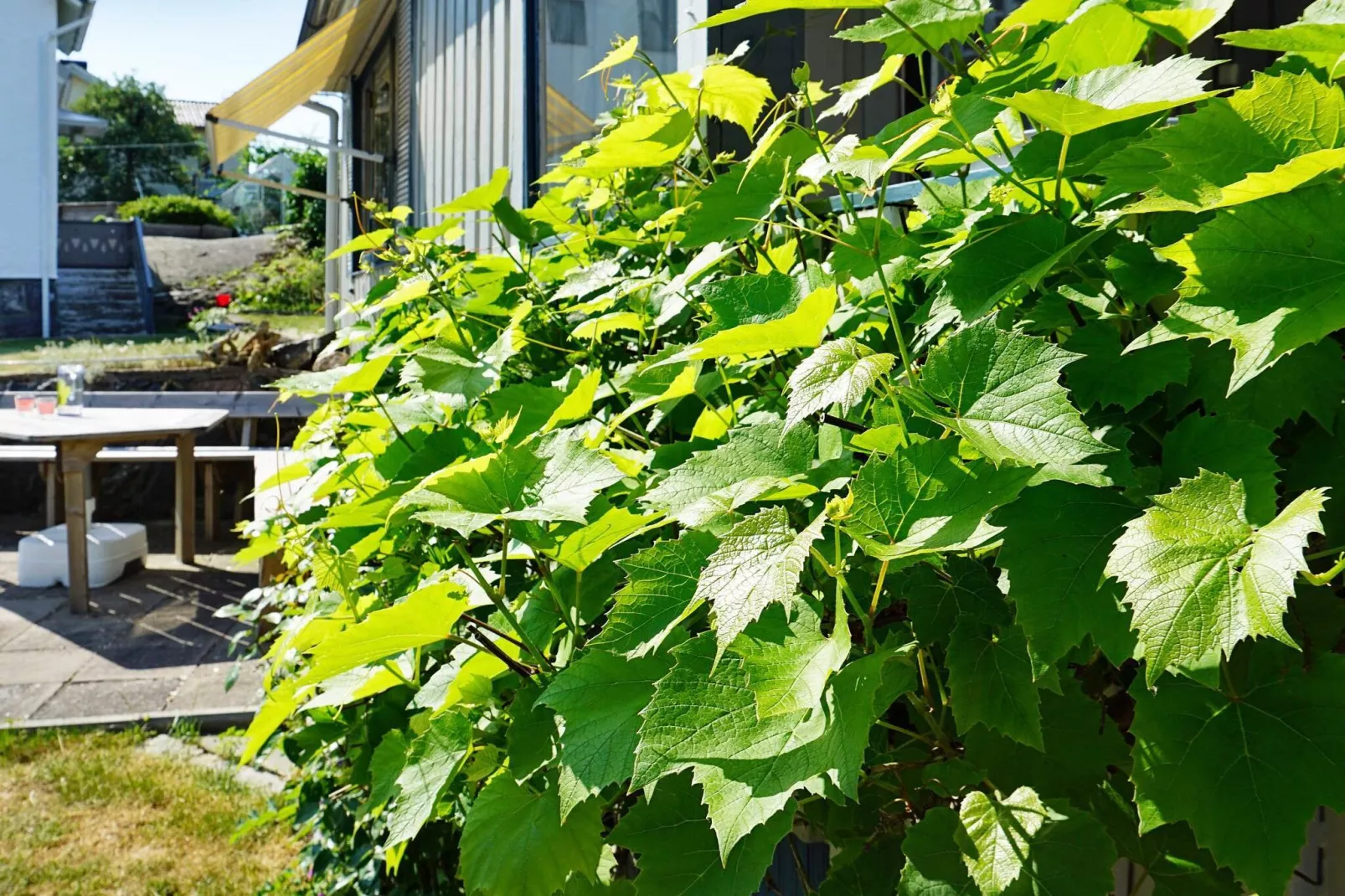 4 person holiday home in Hönö-Outdoor