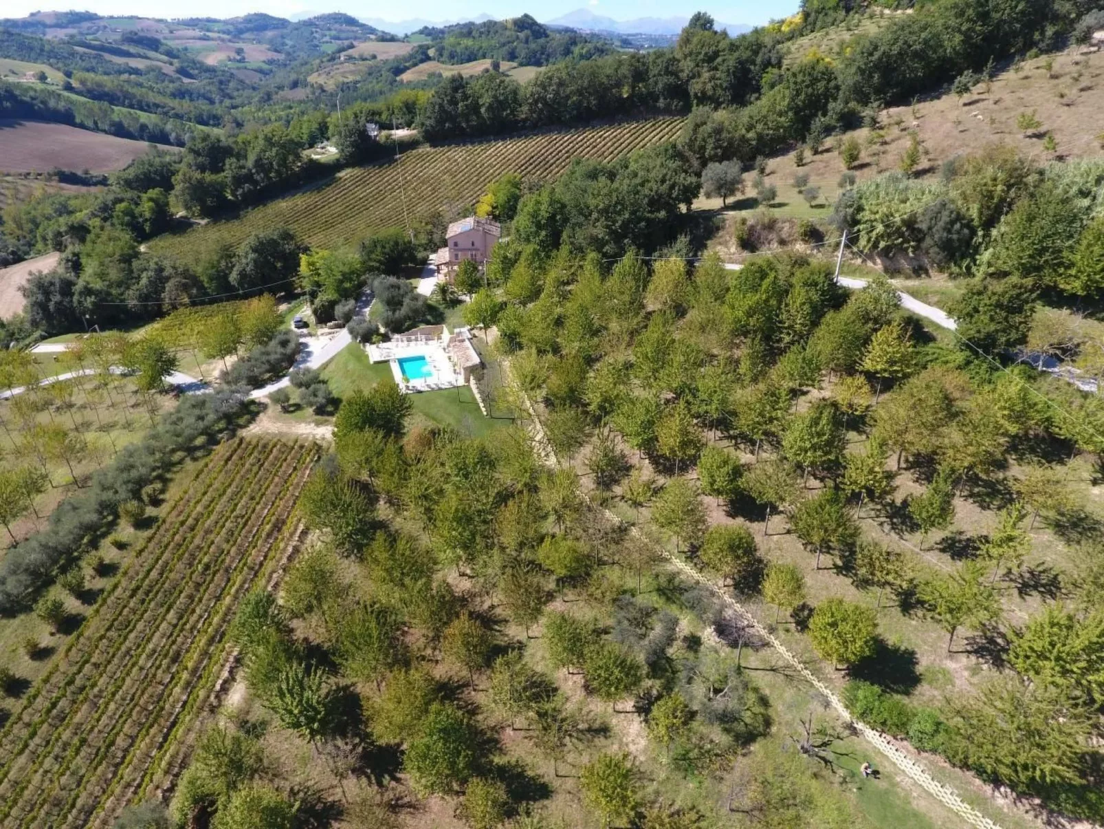 Casa Sacciofa in Monte Rinaldo - Image-tags.info