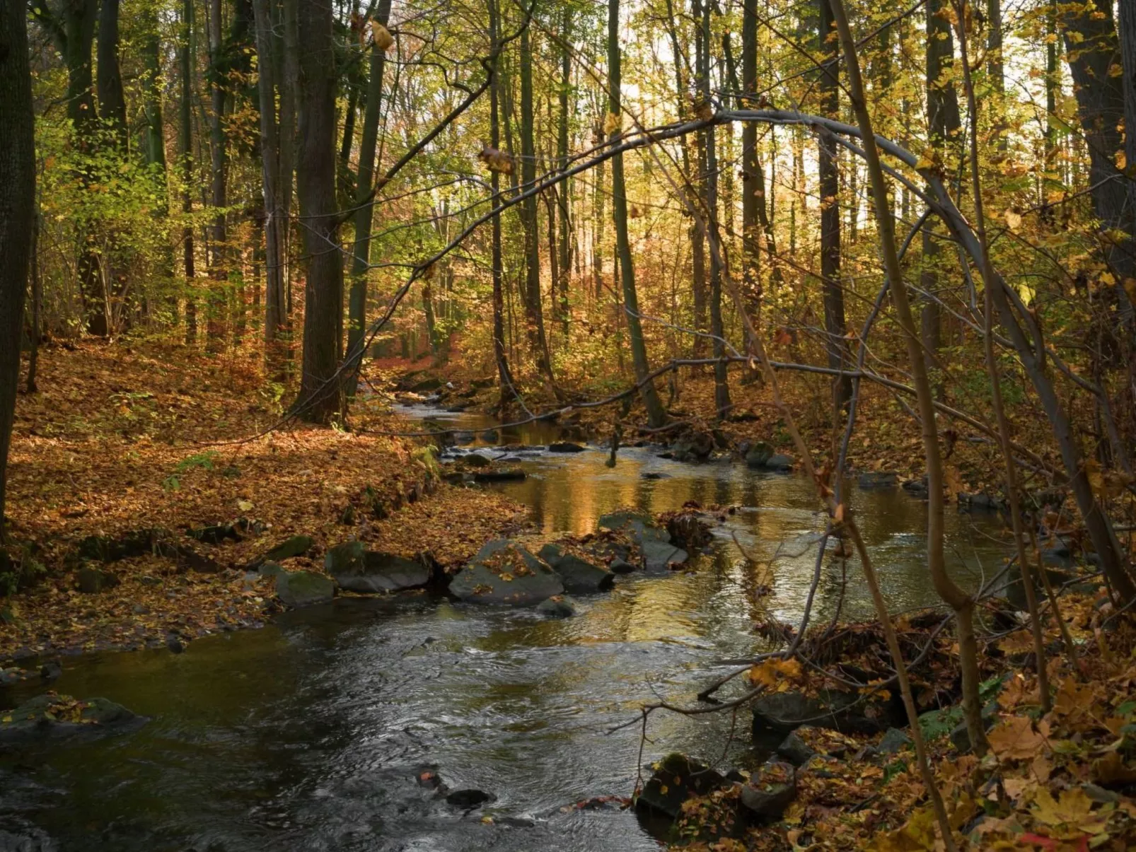 Jägerhaus - Image-tags.info