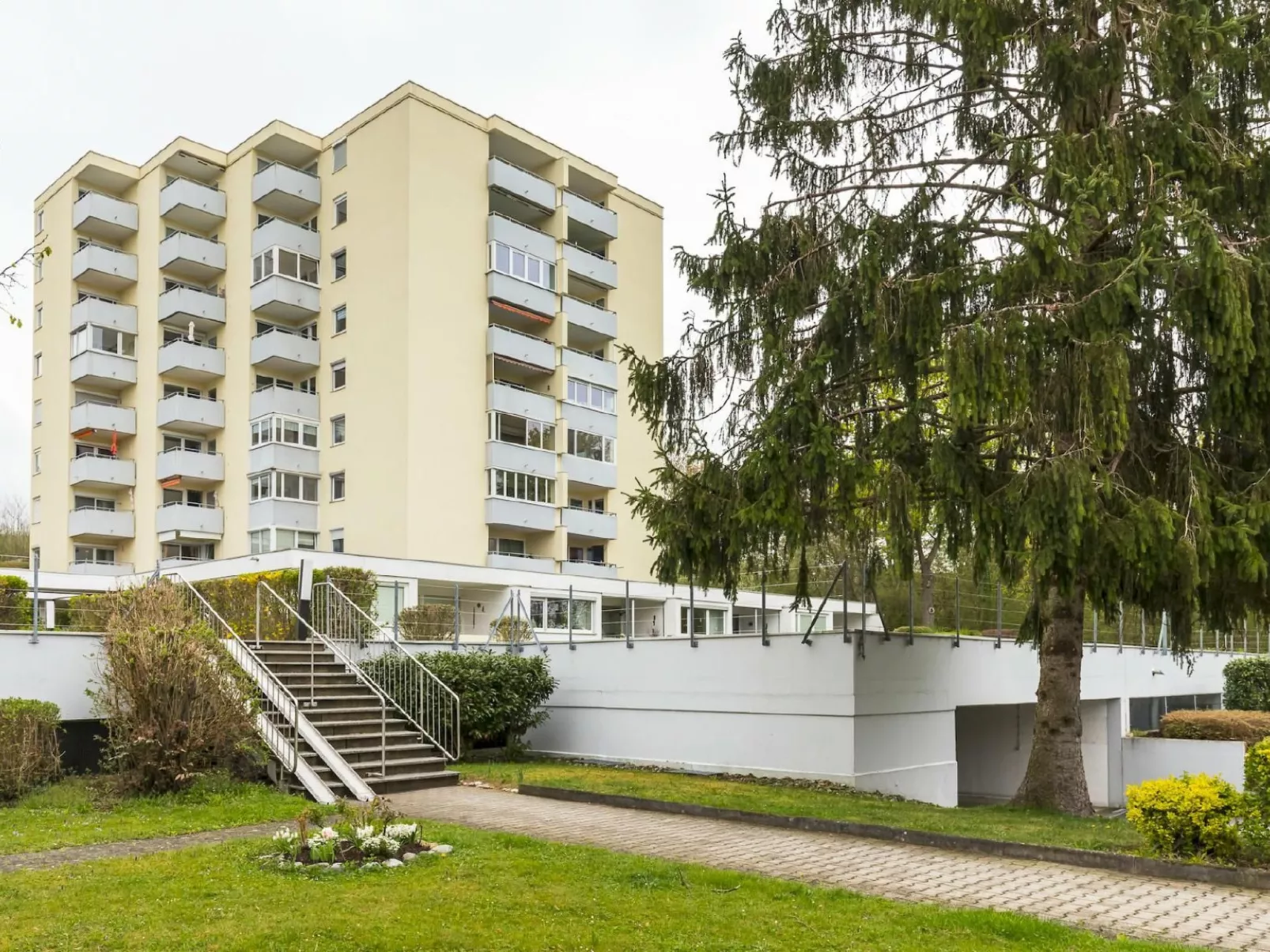 Alex - Image-tags.info