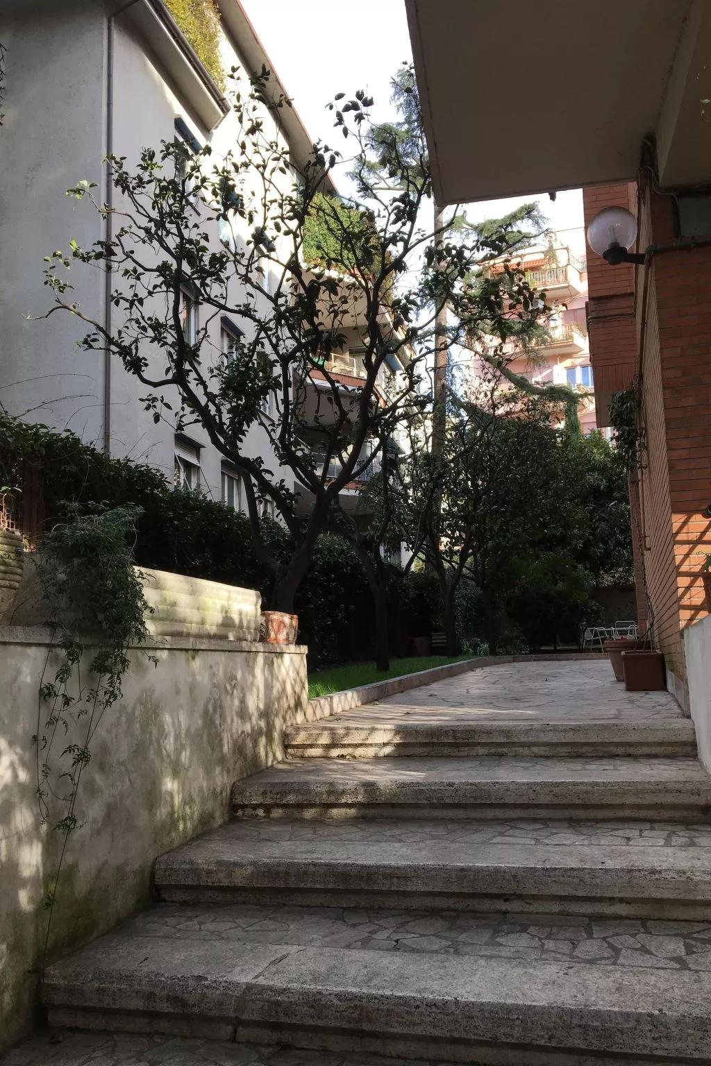 'Metropolitan Oasis - Image-tags.info