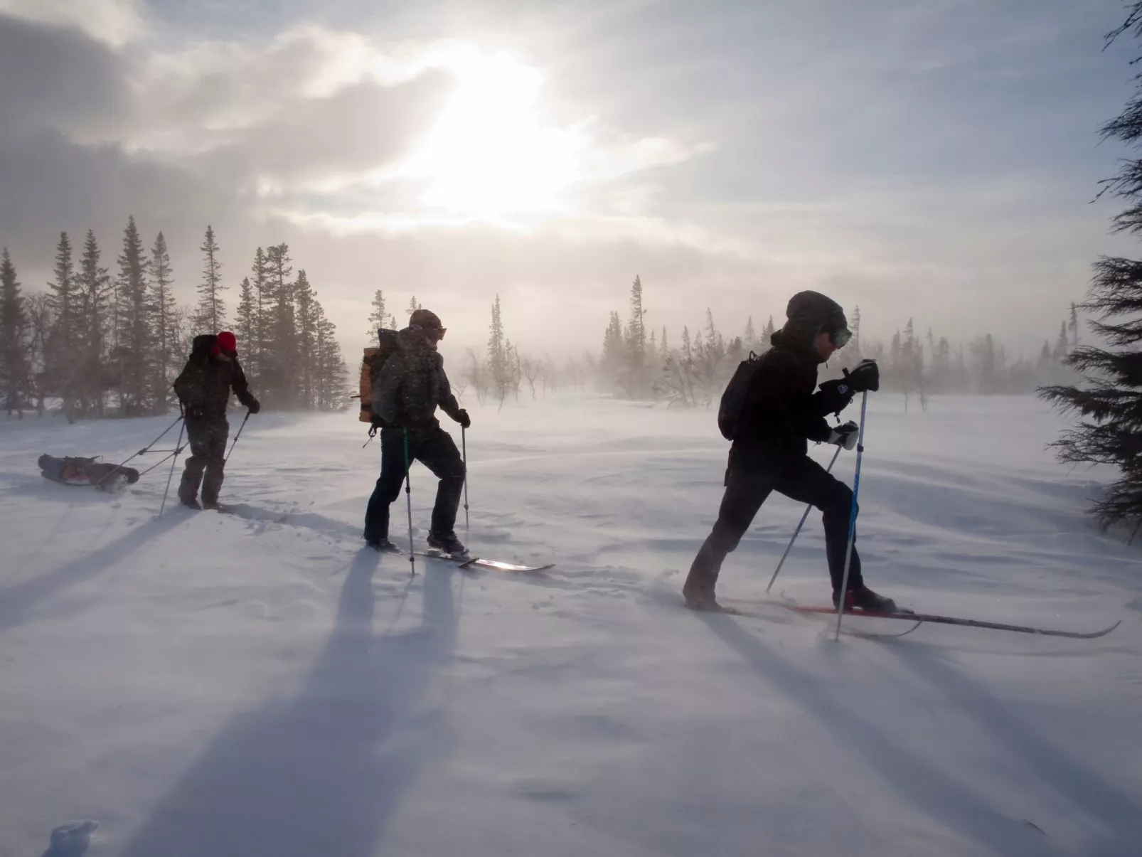 In Krokom und Seeblick - Image-tags.info