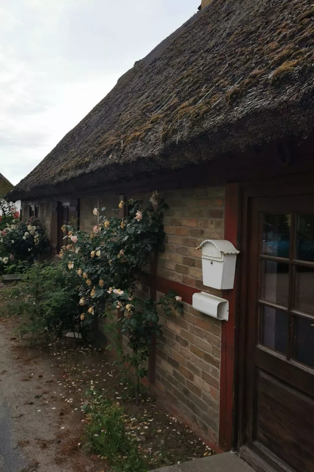 Wohnung für vier Personen im Erdgeschoss - Image-tags.info