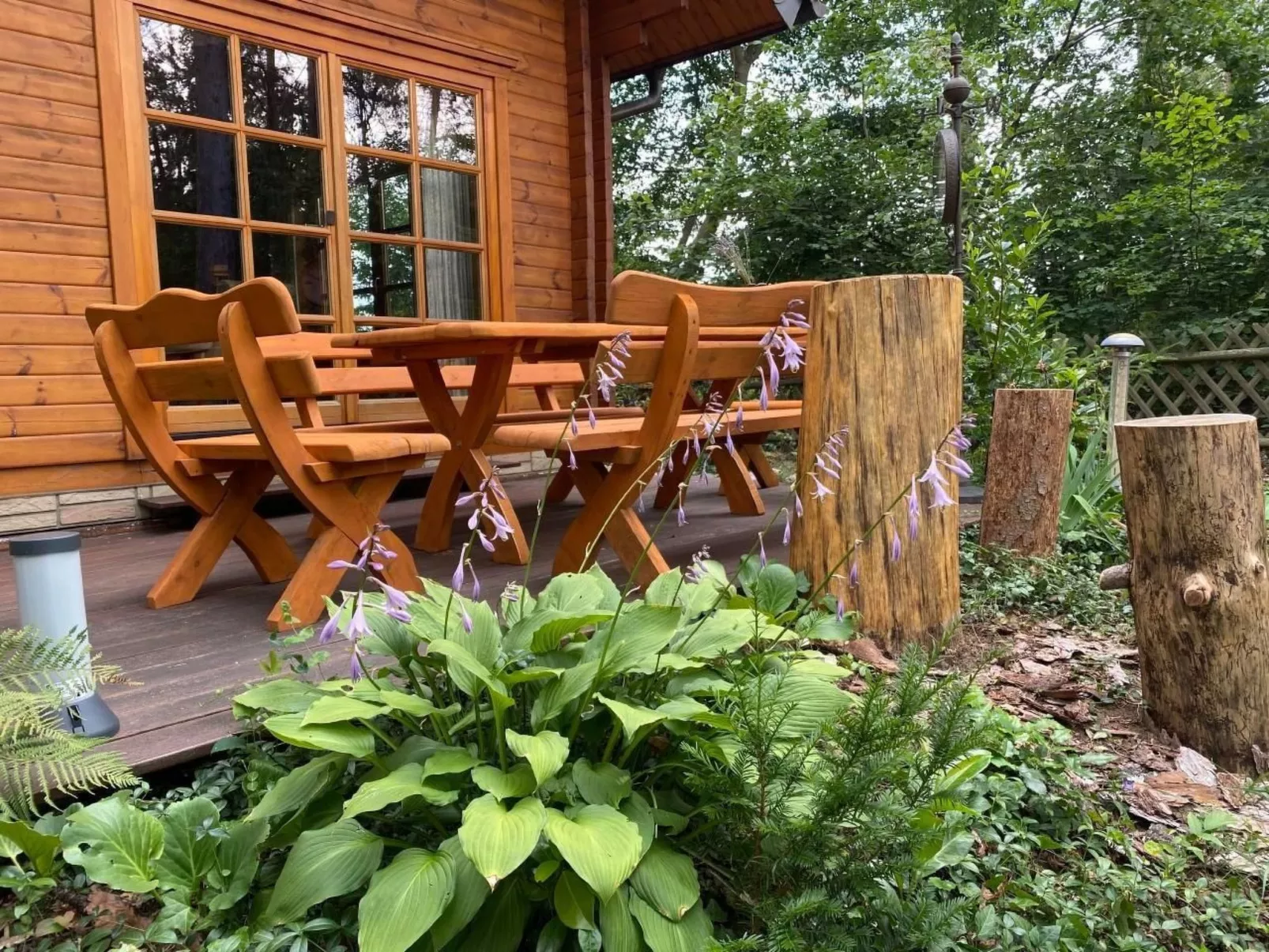 WaldhausEichhörnchen - Image-tags.info