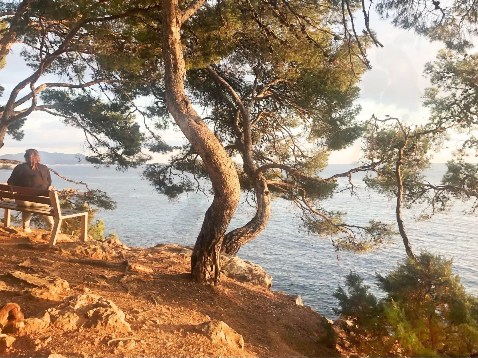 In Strandnähe - Image-tags.info