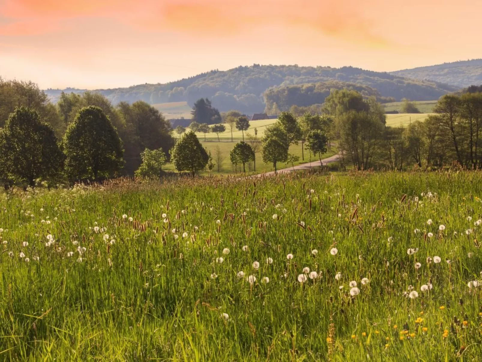 In St. Johann - Image-tags.info