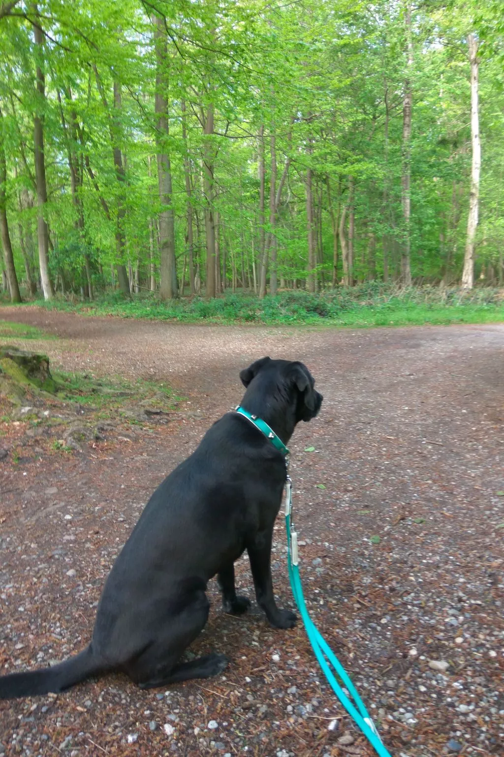 Fewo Waldblick - Image-tags.info