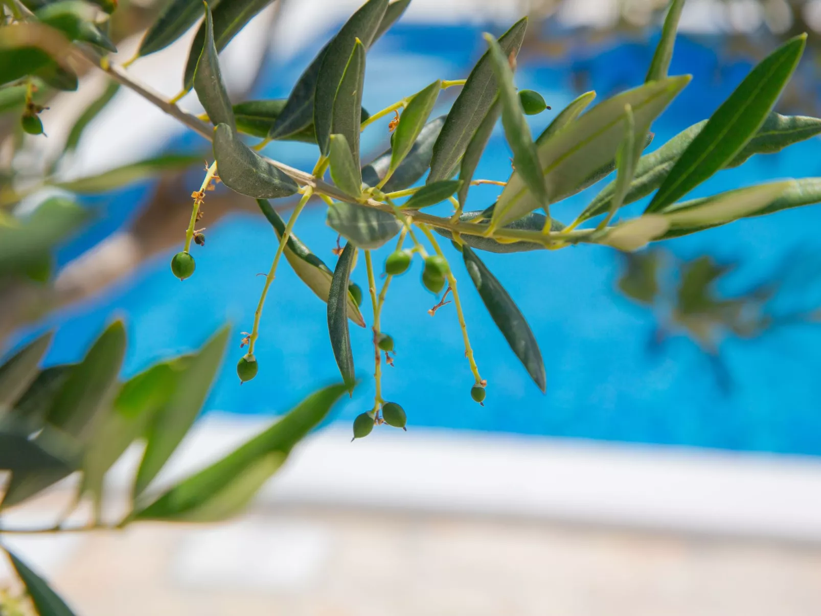 Holiday home Tina with Private pool - Image-tags.info