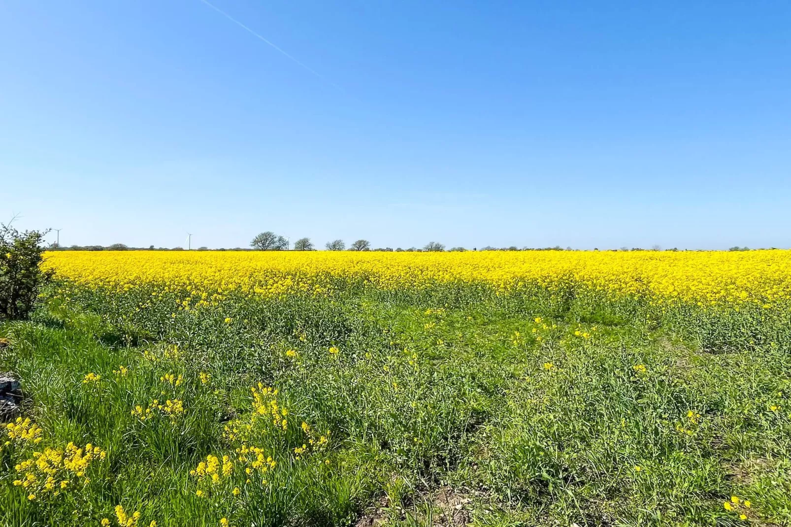 4 person holiday home in Mörbylånga - Untagged