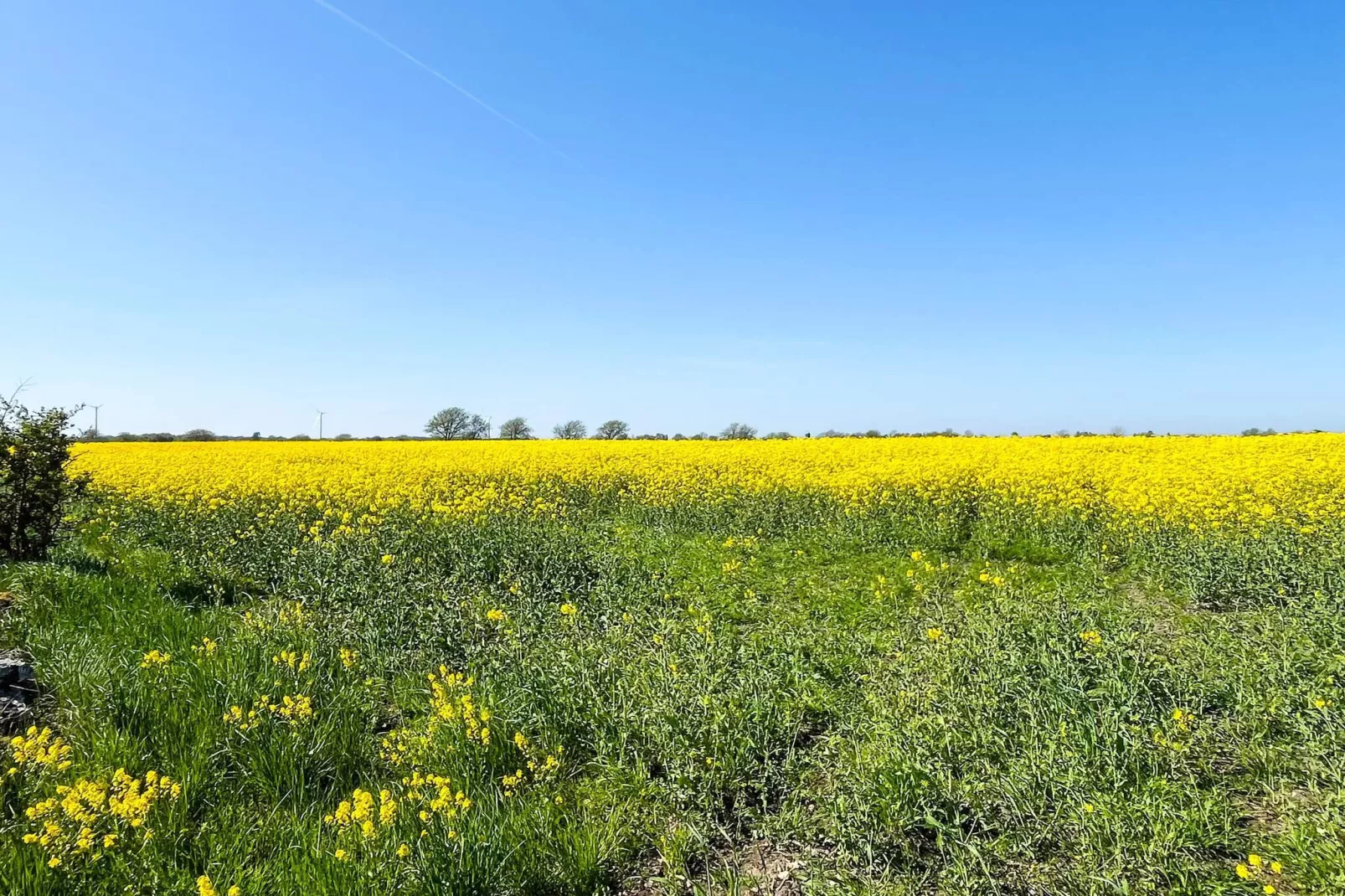 Holiday home in Mörbylånga - Untagged
