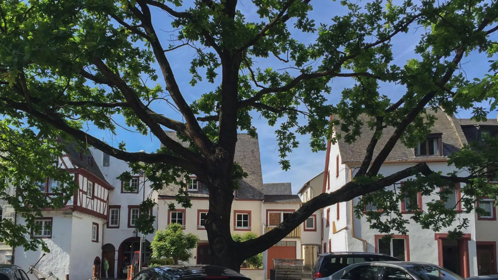 Quelle - Außenbereich Sommer