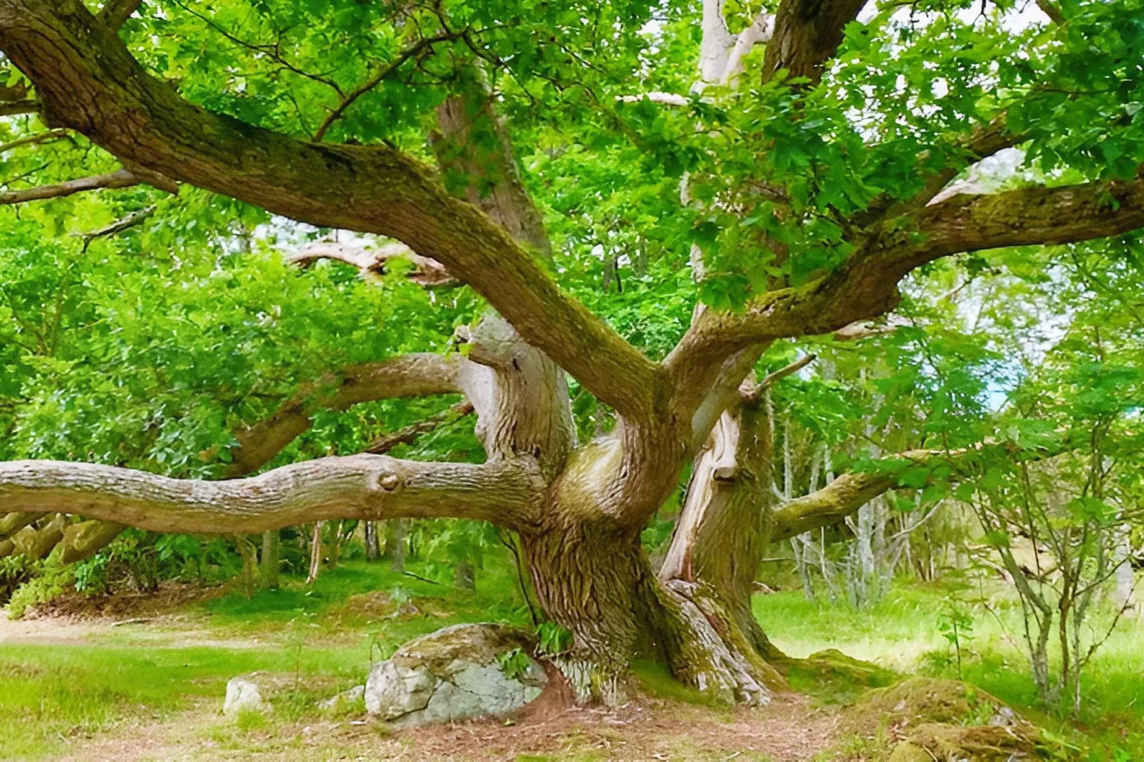 4 star holiday home in RONNEBY-By Traum-Untagged