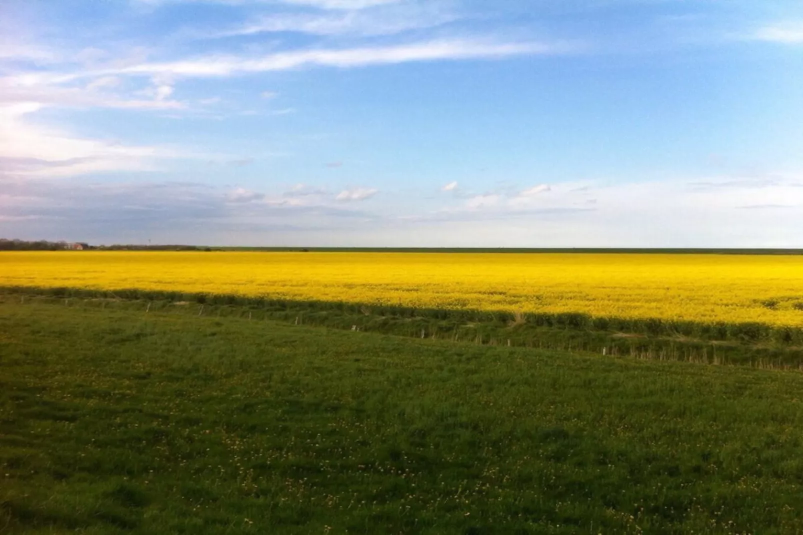 112041-Areas within 5km in summer