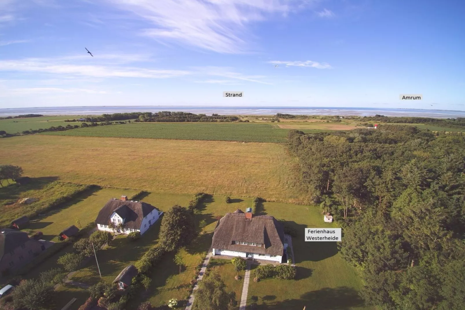 142985-Extérieur été