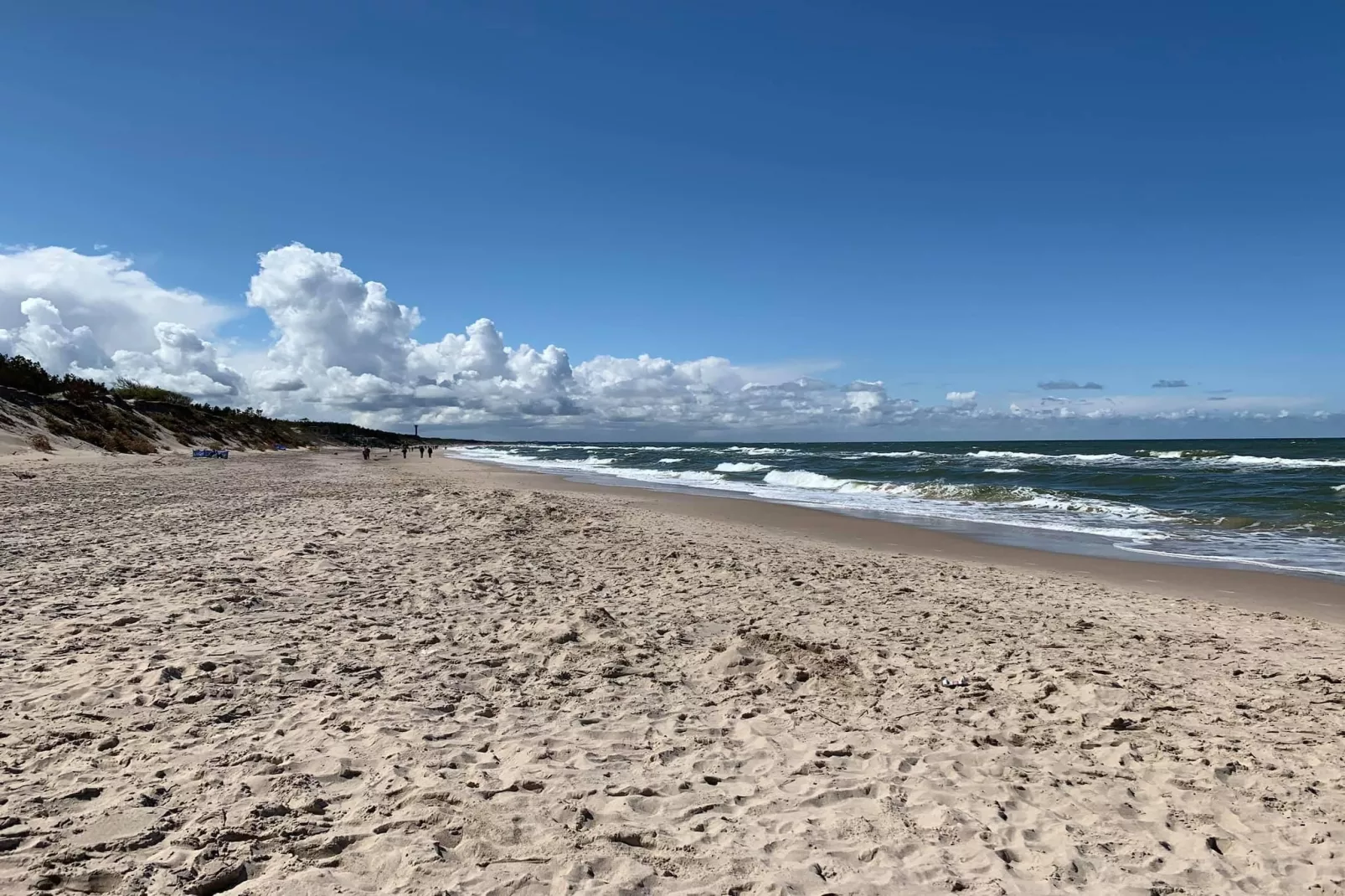 Domki wakacyjne JAROSZOWIEC domki 1-pokojowe Łazy - Areas within 1km in summer