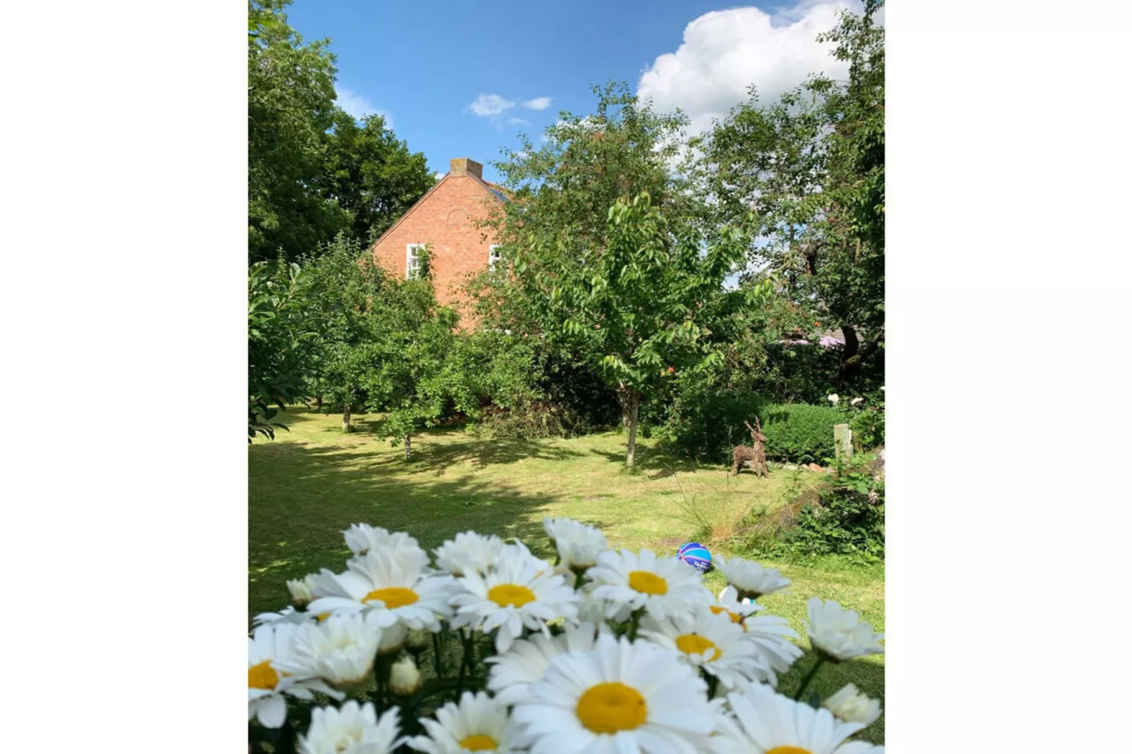 394110-Exterior in summer