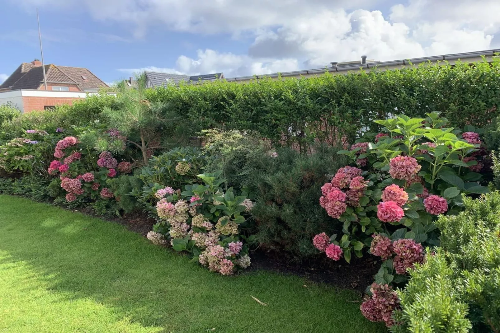 248389-Garten Sommer