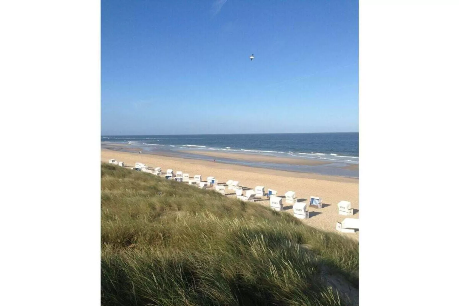 145755-Zones été à 5 km